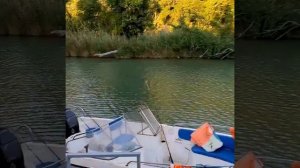 Рыбалка Лермонтово