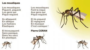 Les moustiques de Pierre Coran