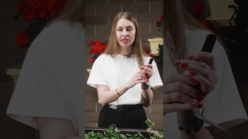 Где разместить цветы летом?
