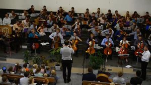 Я не хочу полуправды. Скрипичный оркестр