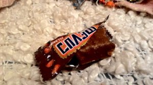 Пробуем конфеты СССР