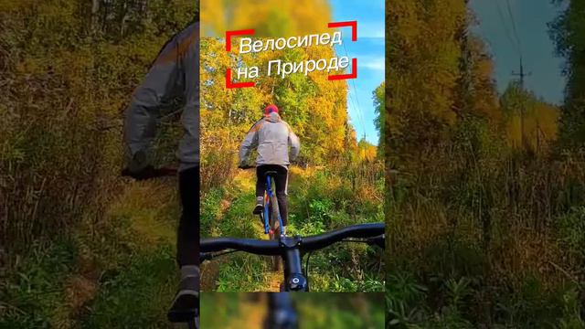 #велосипед #природа #bike #fatbike #velofatbike #фэтбайк #велоспорт #велопоход #велопутешествие