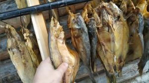 коптим толстолобика холодного копчения в коптильне мечта гурмана.