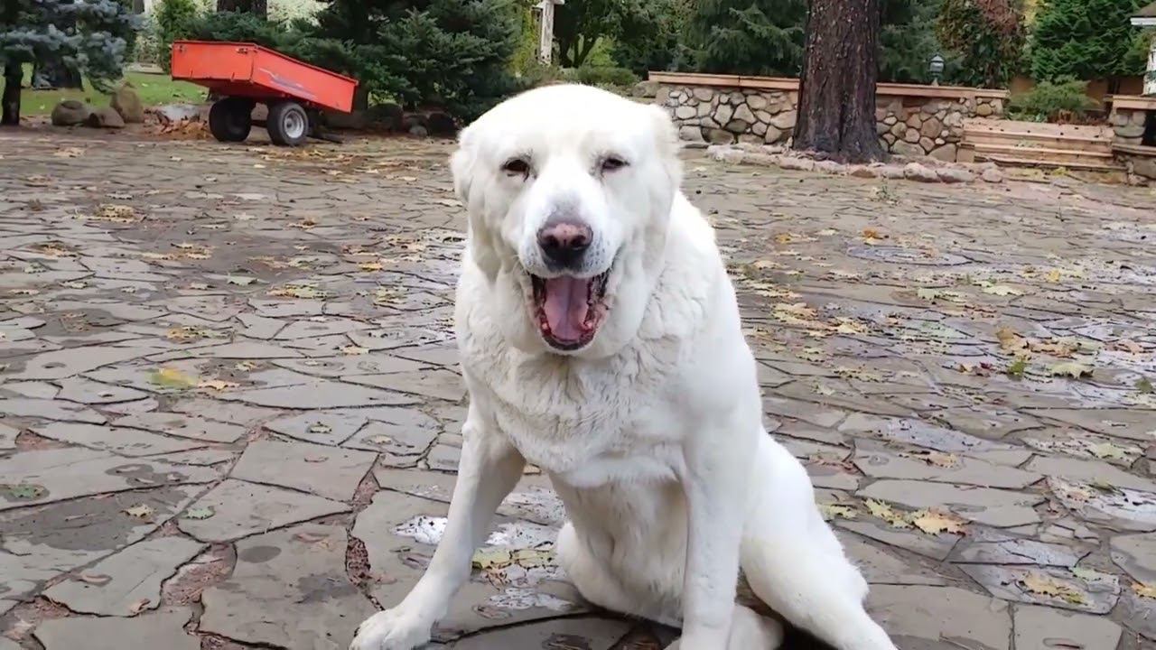 Лариэль поправляется