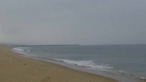 Sony HD Video HDRCX405 Handycam Overview