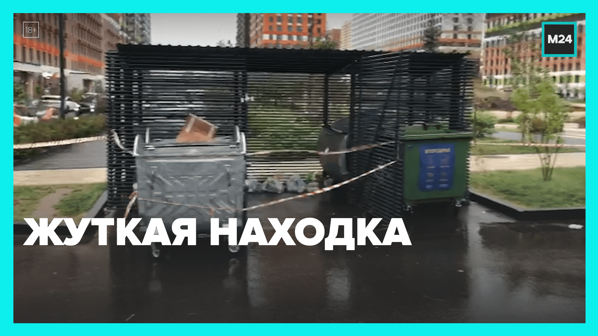 Девочку нашли в мусорном баке. В Москве в мусорном контейнере нашли ребенка. ЕС мусорные баки. Мусорные баки в Швеции. Нашли младенца в мусорном баке.