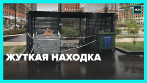 В мусорке нашли тело новорождённого ребёнка — Москва 24