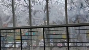 Лифты СитиЛифт 2012 г. и КМЗ Протон 2018 г. @ Надземный переход на Ул. Новинки, 13