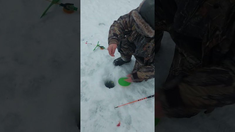 Голицыно Fish (3)