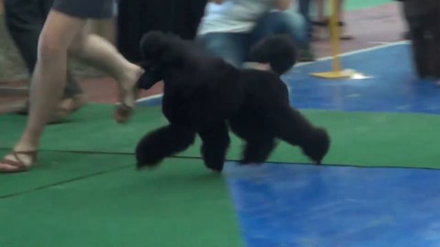 Иркутск Моно 10.07.2016 ИННОВАЦИЯ С ТАИНСТВЕННОГО ОСТРОВА смотреть онлайн