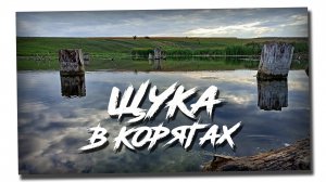 Рыбалка на щуку в корягах!