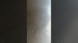 Щука на Семеновском озере Мурманск  2021