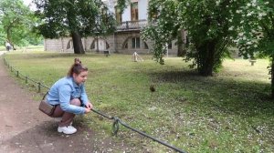 Елагин Остров в Санкт-Петербурге | И почему туристы о нем ничего не знают?
