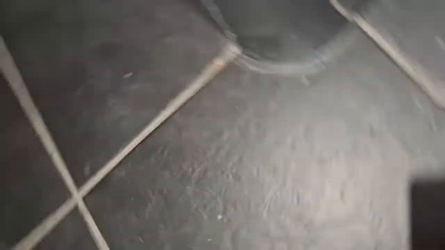 EDC: HX outdoors Crocodile budget friendly Gerber Downrange Tomahawk Urban survival light entry too смотреть онлайн