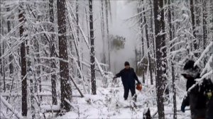 Песня суровых лесорубов