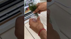 Вакууматор вакуумный упаковщик Vacuum Sealer