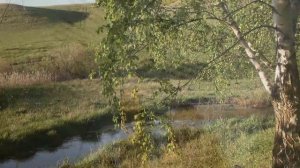 Буктрейлер по книге Александры Ивановны Чернышевой, Кувайский сельский филиал