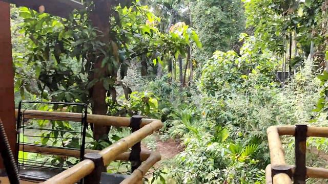 Best Resort in Alibaug | Coconut Beach Farm | Places to Visit in Alibaug | Alibaug Resort смотреть онлайн