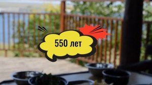 Крым.  Устрицы, мидии, и другие крымские морепродукты. #крым #крымскиеканикулы #отдыхвкрыму