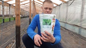 Самое выгодное растение в моей теплице spinach сезон 2023 это шпинат.