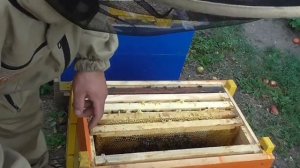 Как исправить семью трутовку!!!