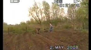 мотокультиватор тарпан