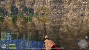 ? За лещом на Старый острог.  ??Russian Fishing 4 Русская рыбалка 4 ? РР4 фарм