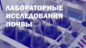 Специальные услуги для сельхозтоваропроизводителей Тамбовской области   ТГУ имени Г.Р. Державина