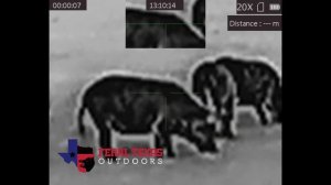 AGM Varmint LRF TS50 640 Review