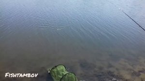 Бешеный клев КАРАСЯ. Рыбалка в живописном месте тамбовской области.