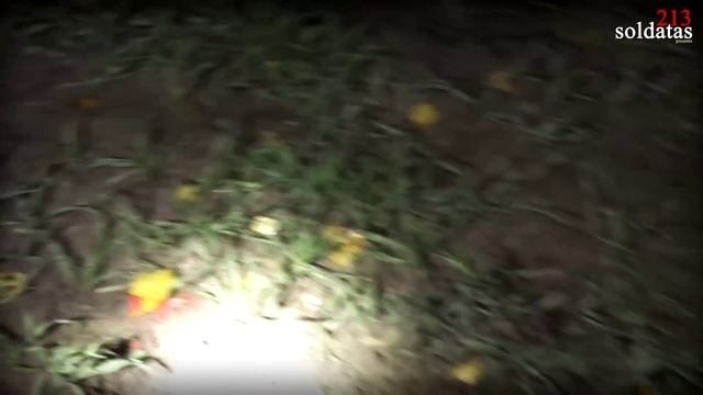 Охота на самца оленя #охота смотреть онлайн