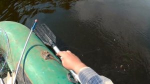 Рыбалка. Ловля на кольцо на Волге. СХОД ТРОФЕЙНОГО ЛЕЩА