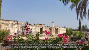 Об Екатерининском парке в Санкт-Петербурге: часы работы парка в Царском селе