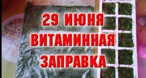 29 июня. Витаминная заправка для первых и вторых блюд на зиму