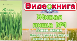 Евгений Агафонов, Видео-книга "Живая пища №1". Глава 6. "Как прорастить" (Видео 65)