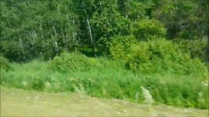 Природа Урала Вид из окна автобуса. The nature of the Urals View from the bus window.