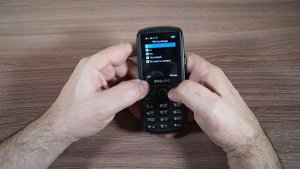 Philips e218 в исполнении "защита".