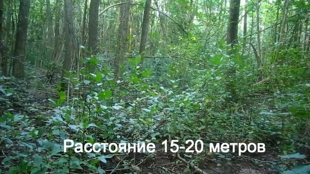 Маскхалат Березка Маскировка в Лесу