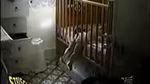 Видео смешно Смешные спящих детей Видео