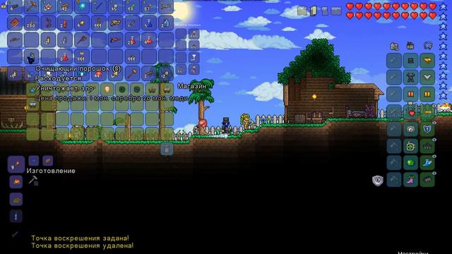 Мой мир из террарии (опять без звука) смотреть онлайн