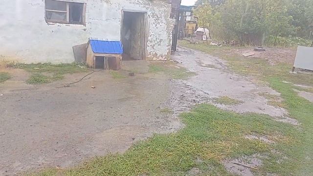 Public agent. Rainy day. Ghost girl смотреть онлайн