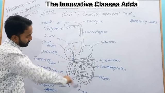 Gastro Intestinal Track | GIT | Pharmaceutical Inorganic Chemistry | B.pharma | lecture-1 | Ali Sir смотреть онлайн