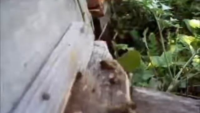 Мой фильм смотреть онлайн