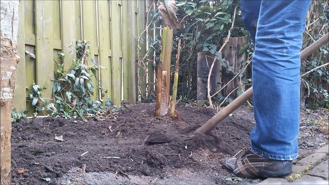 Hoe plant je een Musa Basjoo смотреть онлайн