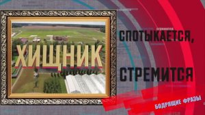 Салтыков-Щедрин о хищниках