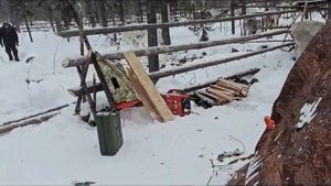 Джип тур на внедорожнике по зимникам Сибири к Оленеводам Эвенкии.