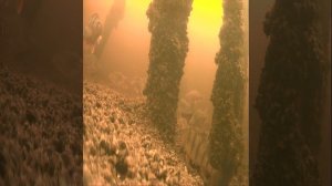 Рыбалка на горе море