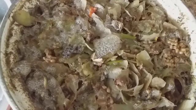 Мешанка для несушек. Чем кормить кур для повышения яйценоскости.