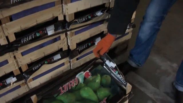 Груша Конференция весовая (Голландия) смотреть онлайн