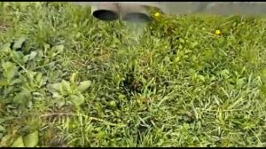 Passat B6 Масложор 1л масла на 250км! Решение проблемы- Алгоритм TSI!